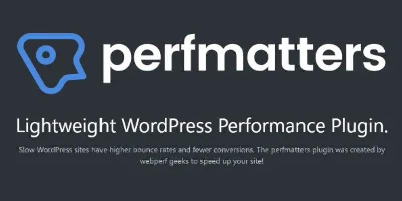 Perfmatters – Lightweight WordPress Performance Plugin
